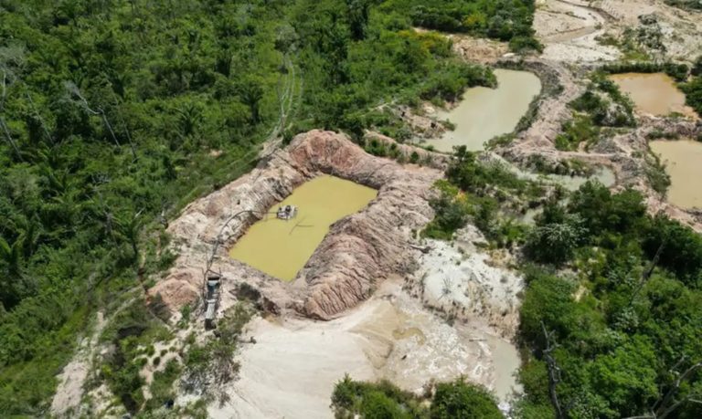 “Sob o Fuzil e o Machado”: expansão de facções transforma a Amazônia Legal