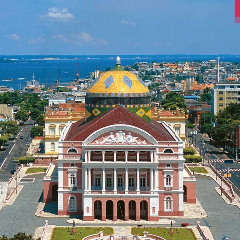 Amazonas: Riqueza Natural, Desafios Sociais e Inovações Sustentáveis