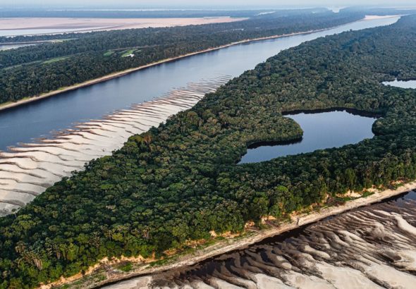 amazonas