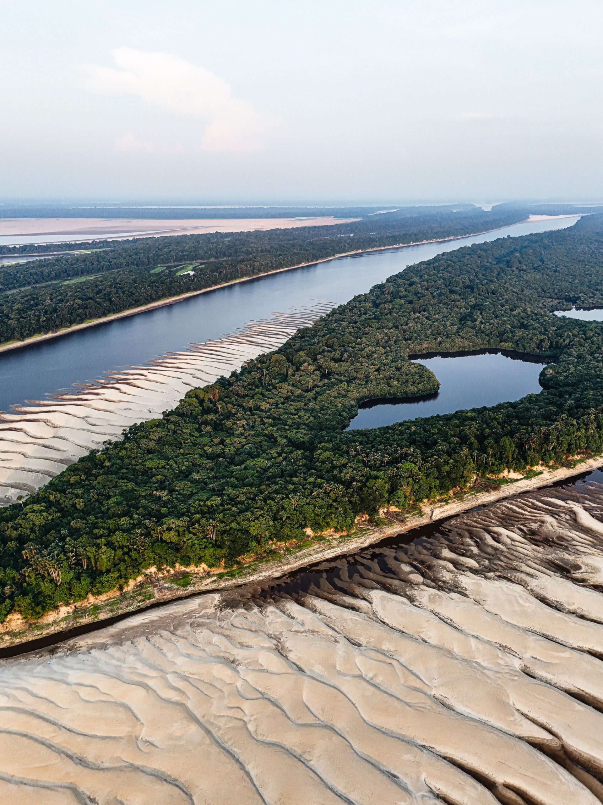 amazonas