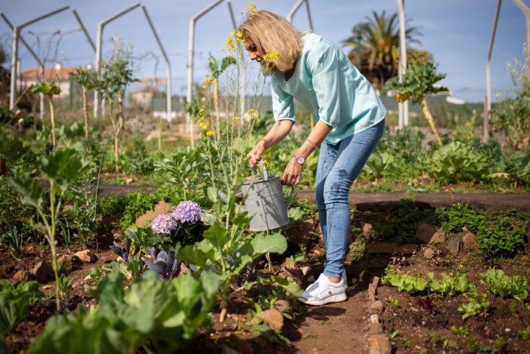 HORTA